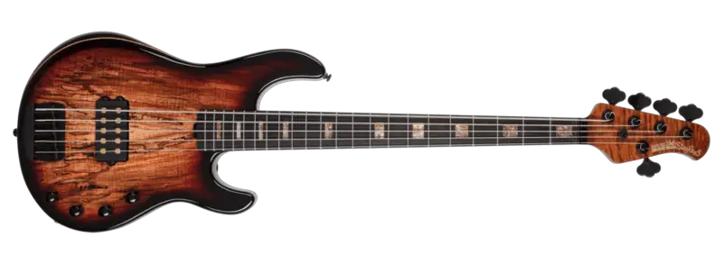 Best P Bass 5-String Models for Every Genre