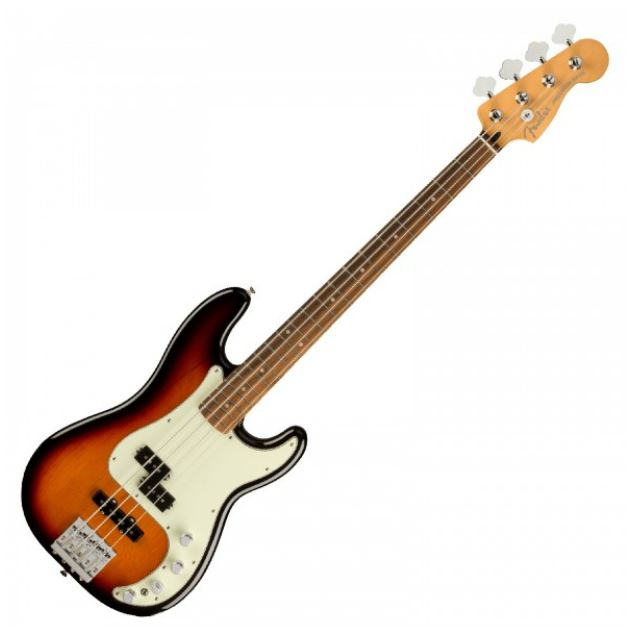 The Legendary P J Basses and Their Iconic Sound