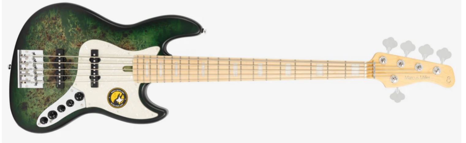 5 Affordable P Bass Alternatives